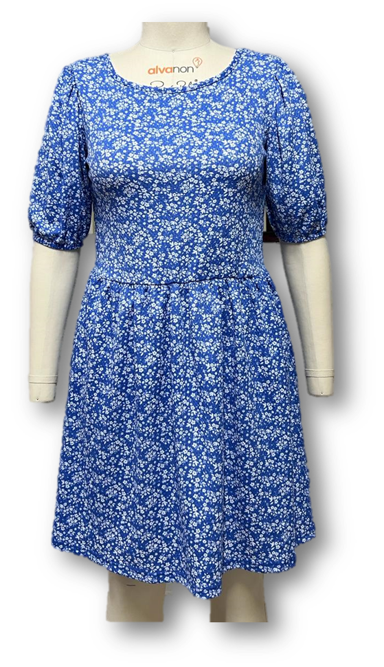 Ladies Dress